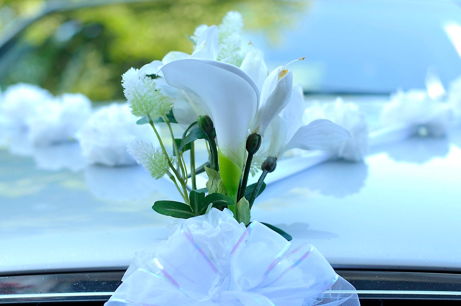 EV12_J&G_1WED_047.jpg
